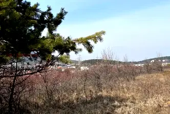 Парцел в с. Бистрица