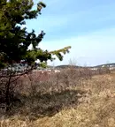 Парцел в с. Бистрица