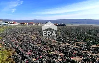 Парцел във Варна, с. Близнаци