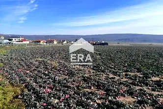 Парцел във Варна, с. Близнаци
