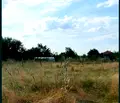 Снимка 2 — Парцел в Пловдив, с. Богданица