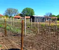 Снимка 2 — Парцел в Русе, с. Борисово
