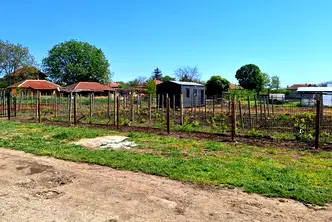 Парцел в Русе, с. Борисово