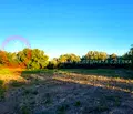 Снимка 2 — Парцел в Пазарджик, с. Бошуля