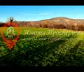 Снимка 5 — Парцел в Пазарджик, с. Бошуля