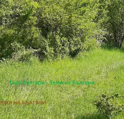Photo 5 — Plot in Oblast Pernik, Bosnek