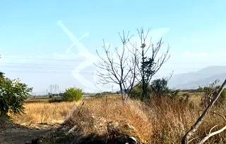 Парцел в Пловдив, с. Браниполе
