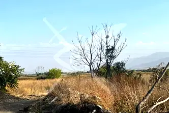 Парцел в Пловдив, с. Браниполе