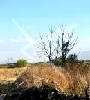Парцел в Пловдив, с. Браниполе