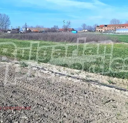 Photo 3 — Plot in Oblast Pazardjik, Bratanica