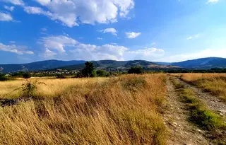 Парцел в Пловдив, с. Брестник