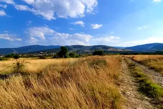 Парцел в Пловдив, с. Брестник