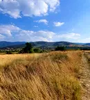Парцел в Пловдив, с. Брестник