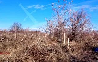 Парцел в Пловдив, с. Брестник