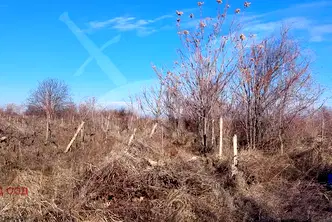 Парцел в Пловдив, с. Брестник
