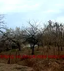 Парцел в Пловдив, с. Брестник
