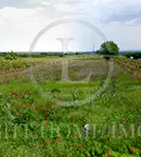 Парцел в Пловдив, с. Брестник