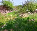 Снимка 4 — Парцел в Пловдив, с. Брестник