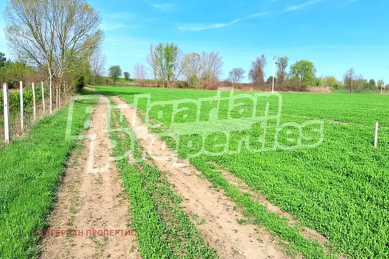 Plot in Oblast Plovdiv, Brestovica