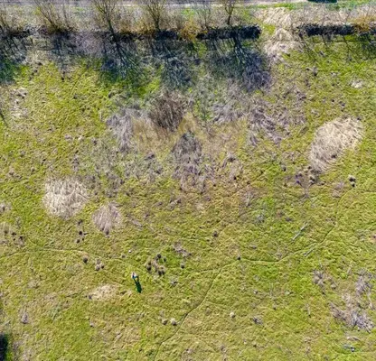 Photo 4 — Plot in Oblast Dobrich, Bylgarevo