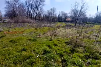 Парцел в Добрич, с. Българево