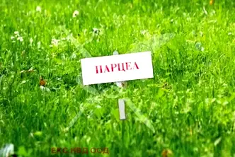 Парцел в Пловдив, с. Царацово