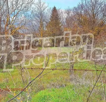 Photo 2 — Plot in Oblast Dobrich, Carichino