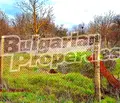 Снимка 4 — Парцел в Добрич, с. Царичино