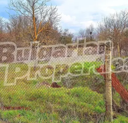 Photo 4 — Plot in Oblast Dobrich, Carichino