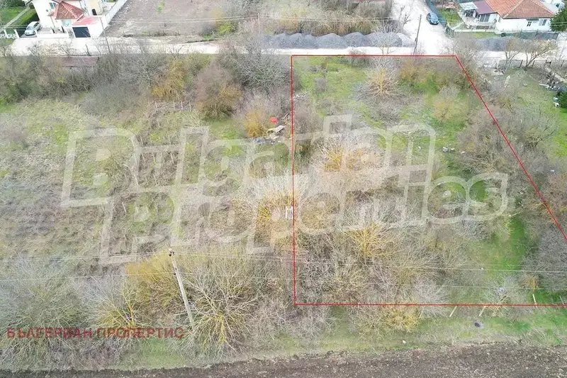 Plot in Oblast Dobrich, Carichino