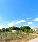 Парцел в Добрич, с. Царичино