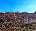 Снимка 4 — Парцел в с. Чепинци