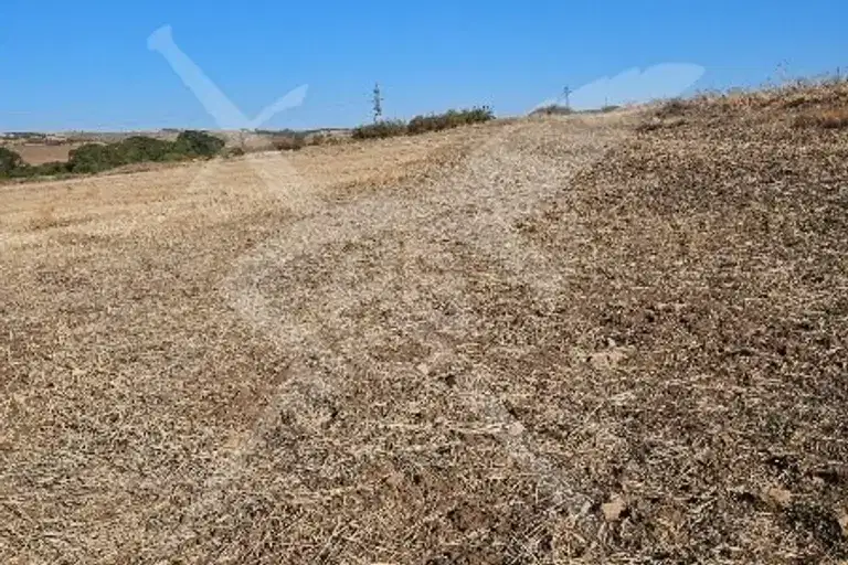 Plot in Oblast Burgas, Cherni Vryh
