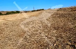 Парцел в Бургас, с. Черни връх