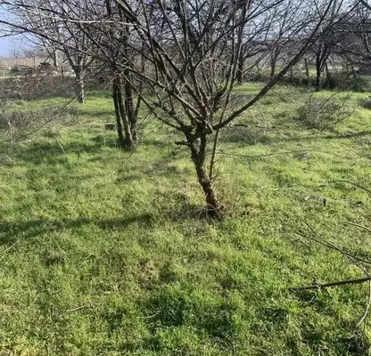 Photo 3 — Plot in Oblast Plovdiv, Cherven