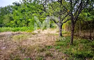 Парцел в Пловдив, с. Червен