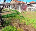 Снимка 5 — Парцел в Пазарджик, с. Црънча