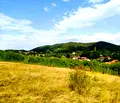 Снимка 3 — Парцел в Перник, с. Дивотино
