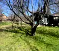 Снимка 2 — Парцел в Перник, с. Дивотино