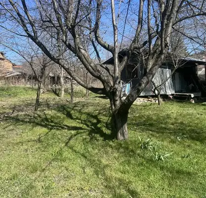Photo 2 — Plot in Oblast Pernik, Divotino