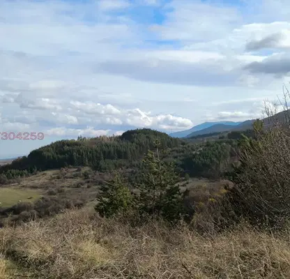 Photo 4 — Plot in Oblast Pernik, Divotino