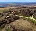 Снимка 2 — Парцел в Търговище, с. Долна Златица