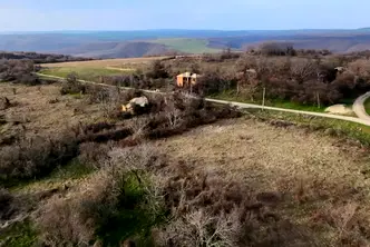 Парцел в Търговище, с. Долна Златица