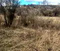 Снимка 2 — Парцел в Перник, с. Драгичево