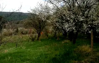 Парцел в София, с. Дръмша