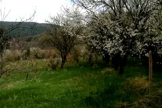 Парцел в София, с. Дръмша