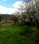 Парцел в София, с. Дръмша