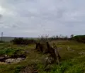 Снимка 2 — Парцел в Бургас, с. Дюлево