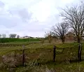 Снимка 4 — Парцел в Бургас, с. Дюлево