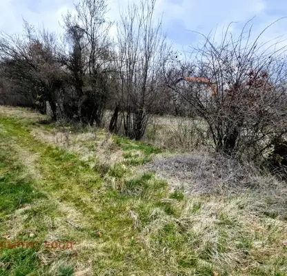 Снимка 2 — Парцел в Перник, с. Егълница
